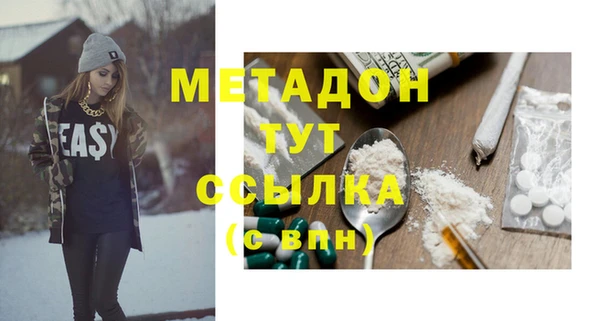 сатива Заводоуковск