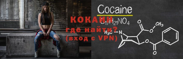 сатива Заводоуковск