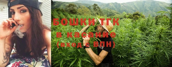 сатива Заводоуковск