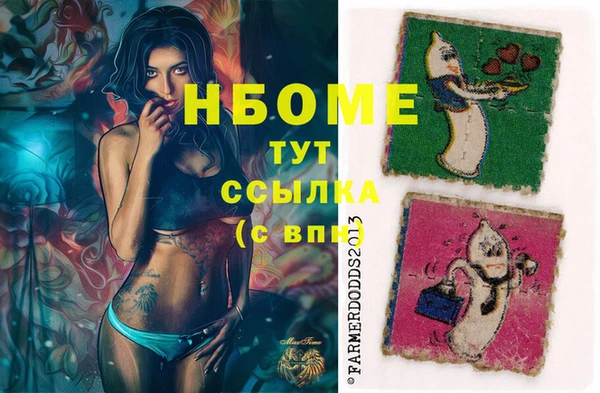 сатива Заводоуковск